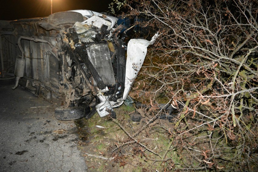 Peugeot Boxer wjechał w drzewo – kierowca miał 3 promile
