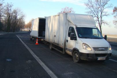 Iveco Daily z transportem karmy dla zwierząt w rękach ITD