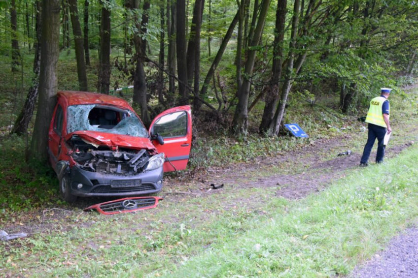 Na DK 19 kierujący Mercedesem Citanem śmiertelnie potrącił pieszego