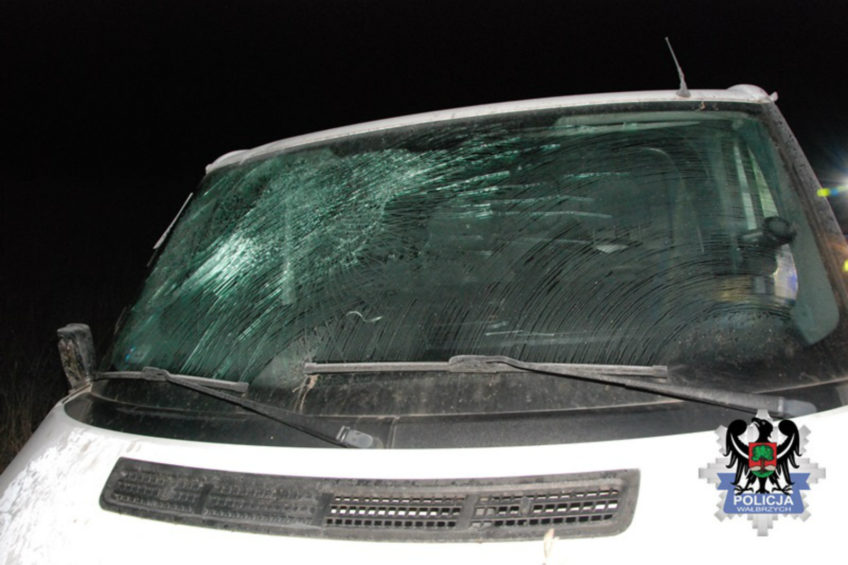 Fordem Transitem potrącił 11-latkę – kierowca po narkotykach uciekł