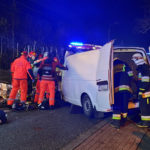 W Pisarzowicach VW Transporter uderzył w drzewo – kierowca ranny