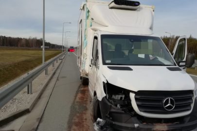 Na S8 Mercedes Sprinter śmiertelnie potrącił kierowcę DAF-a