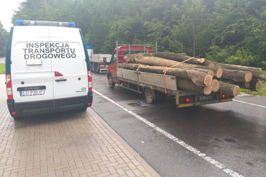 Wiózł kilkanaście dębowych kłód – Iveco Daily ważyło 7500 kg