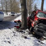 Iveco Daily uderzyło w drzewo – kierowca autolawety w szpitalu