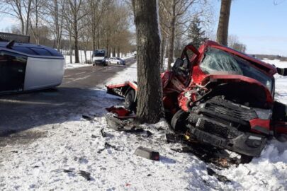 Iveco Daily uderzyło w drzewo – kierowca autolawety w szpitalu