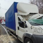 Na kabinę Fiata Ducato spadł konar – kierowca przeżył