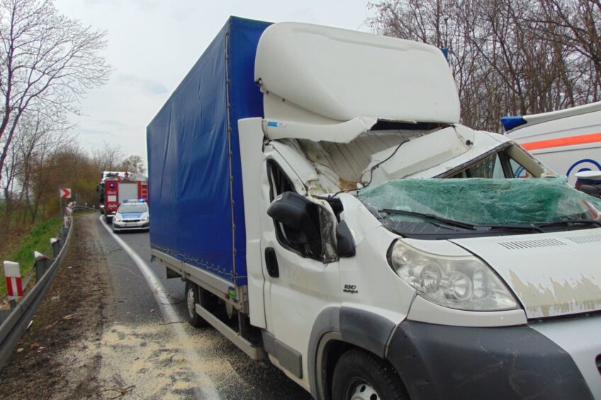 Na kabinę Fiata Ducato spadł konar – kierowca przeżył