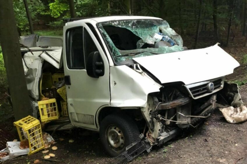 Na DK 15 Fiat Ducato uderzył w dzika a potem wpadł w drzewo