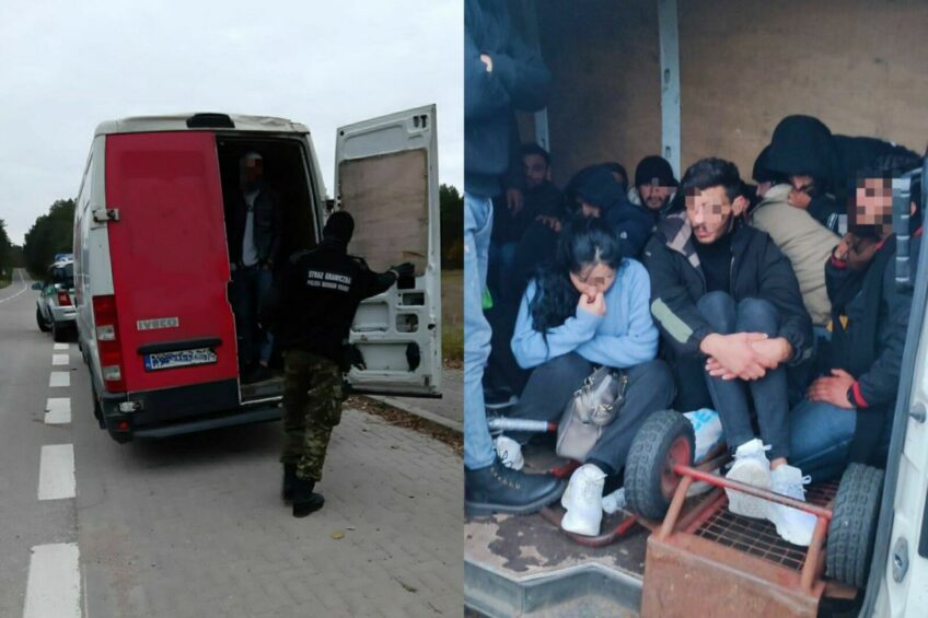 27 imigrantów w kurierskim busie – zatrzymano ukraińskiego kierowcę