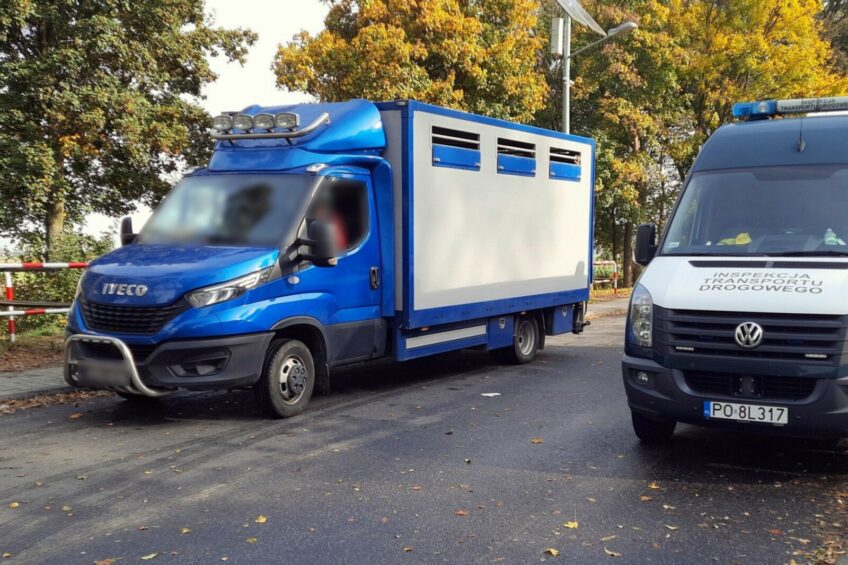 4500 kg na pusto?  Przeładowane Iveco Daily na wagach w Wilcznej