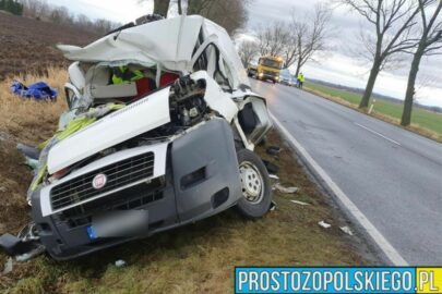Na DK 46 Fiat Ducato wjechał w drzewo – nie żyje 54-latka