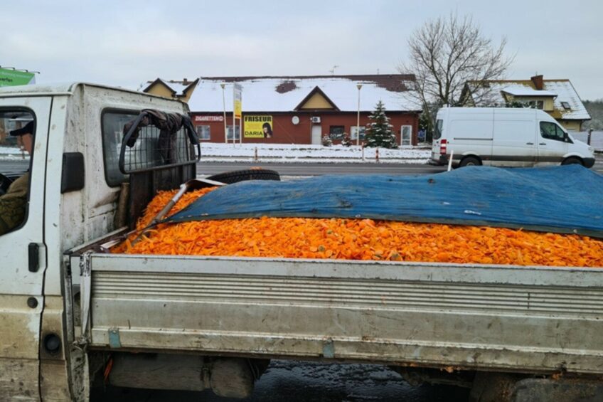Ze skrzyni Forda Transita marchew wysypywała się na drogę