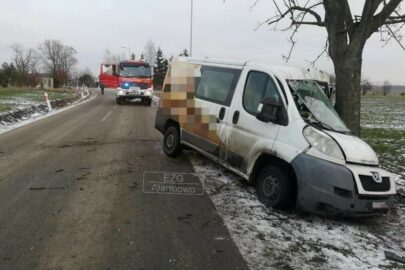 Kierowca Peugeota Boxera wjechał w drzewo – miał ponad 3 promile