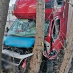Pijany kierowca Ducato wjechał w drzewa – w busie zostawił syna