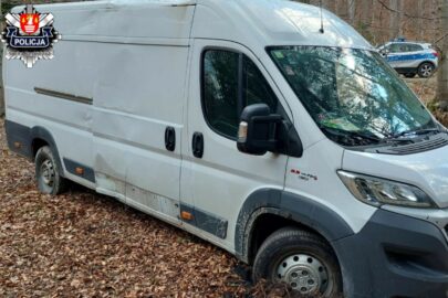 Kierowca Ducato ściął drzewo w lesie – dostał 5000 zł mandatu