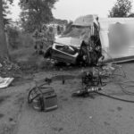 Kurierski Boxer uderzył w drzewo – kierowca zmarł na miejscu