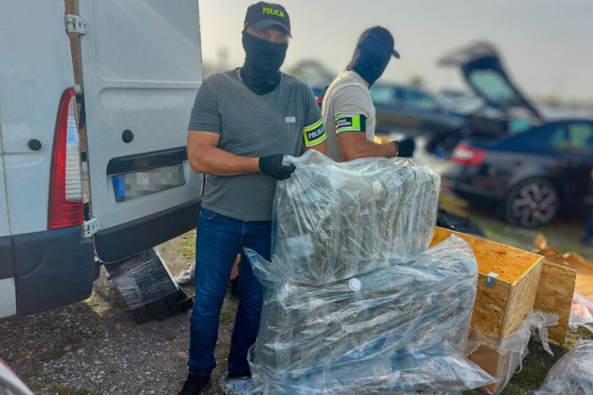 Narkotyki pomiędzy legalnym frachtem – zatrzymano 3 osoby