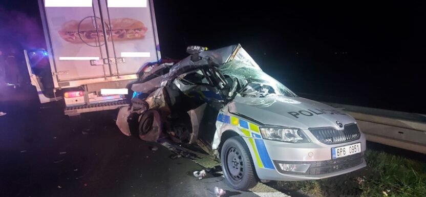 Masterką z bagietkami zmasakrował dwa radiowozy. Grozi mu do 6 lat