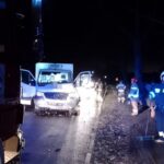 Na Sprintera spadło drzewo. Służby powiadomił system eCall