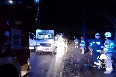 Na Sprintera spadło drzewo. Służby powiadomił system eCall