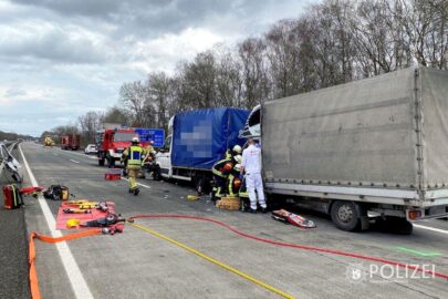 Bus wbił busa w ciężarówkę. Jeden z kierowców zakleszczony