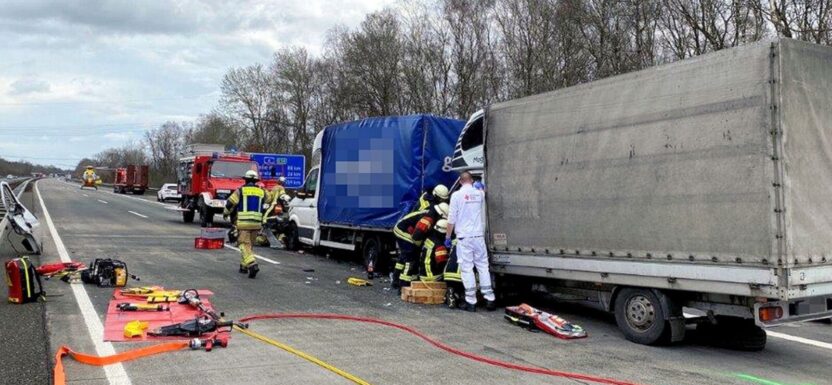 Bus wbił busa w ciężarówkę. Jeden z kierowców zakleszczony