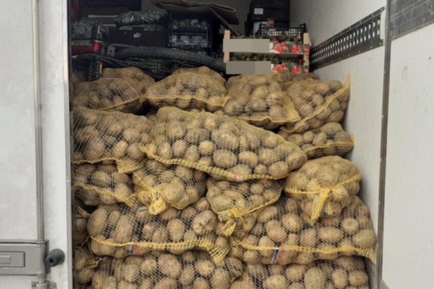 Przeładunek ręczny kilku ton ziemniaków z busa przy S7