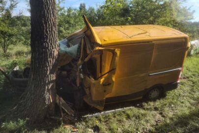 Nie zapiął pasów i uderzył w drzewo. Kierowca Transita przeżył