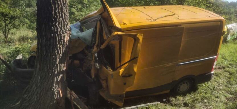 Nie zapiął pasów i uderzył w drzewo. Kierowca Transita przeżył