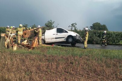 Pod Poznaniem drzewo przygniotło jadącego Peugeota Experta