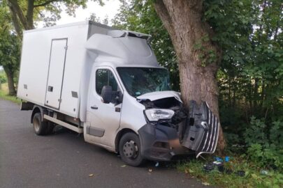 Sarna wybiegła przed busa. Kierowca wjechał w drzewo