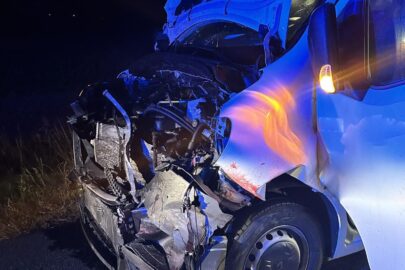 Na DK 11 jeleń wszedł wprost pod Renault Master