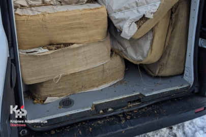 5000 zł za brak zgłoszenia SENT i 30 000 zł grzywny dla kierowcy vana