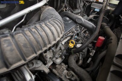 Import vanów do Polski w 2023 roku: 12-latek z silnikiem Diesla