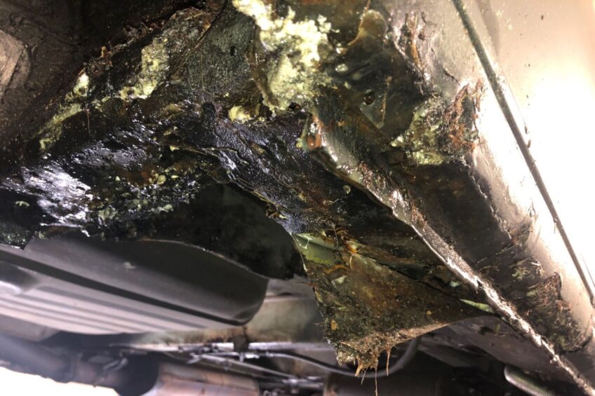 Ten Fiat Ducato zaprasza w skromne progi