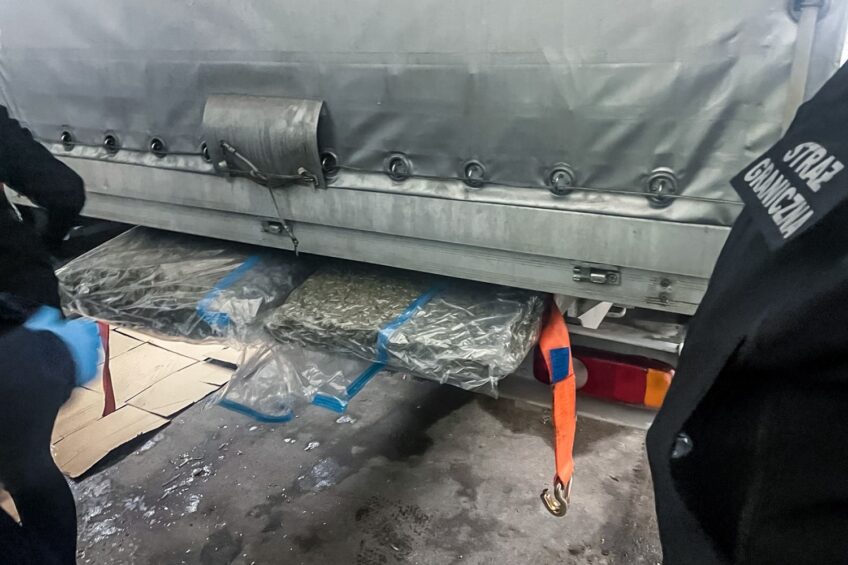 Narkotyki ukryte pod ładownią busa. Kierowca zatrzymany