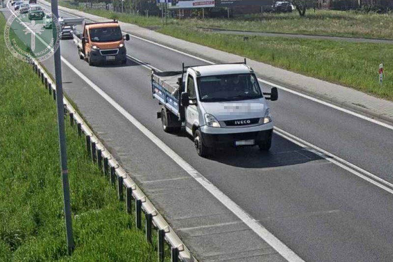 Papier wszystko przyjmie. Daily wytypowane na preselekcji