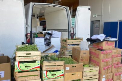 Przeciążona izoterma i brak kontrollbucha a żywność do utylizacji