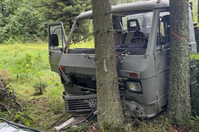 Zasłabł za kierownicą i uderzył w drzewo. Kierowca VW LT nie żyje
