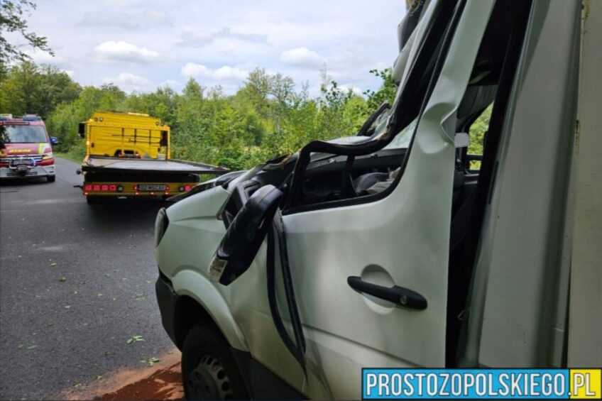 Drzewo zmiażdżyło kabinę Sprintera. Kierowca przeżył