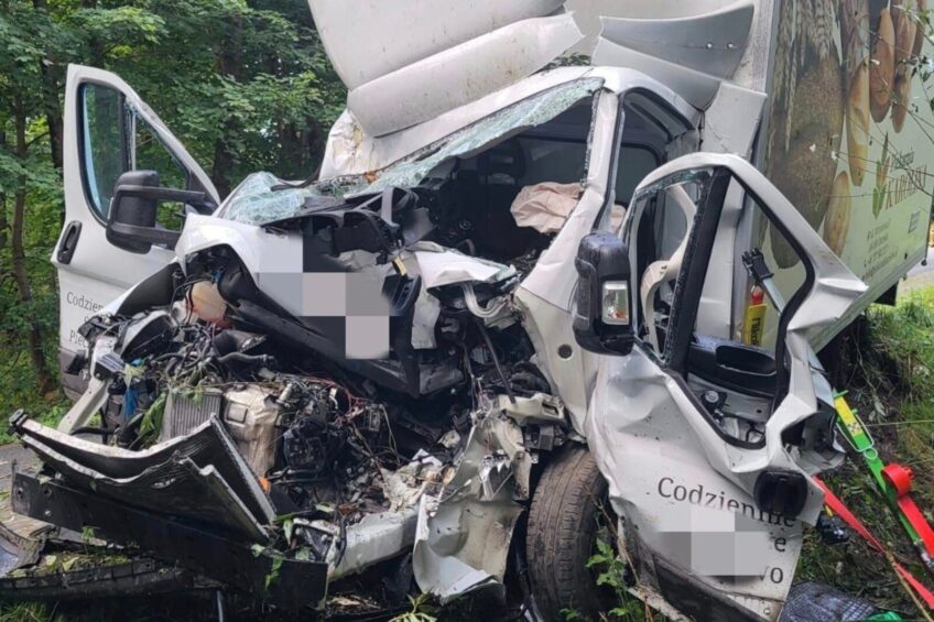 Na DW 509 wiozący pieczywo bus wjechał w drzewo