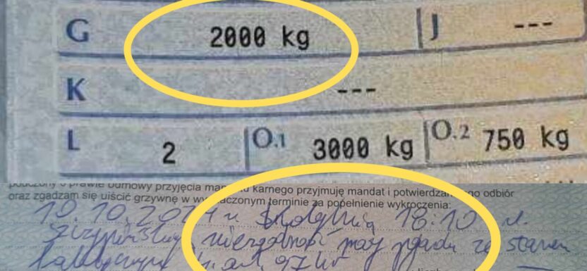 Ciężka autolaweta ze Słupska - mandat nie za DMC a masę własną