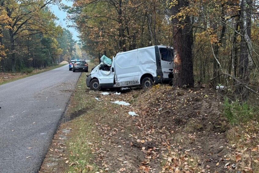 Furgon wypadł z drogi. Początkujący kierowca w szpitalu