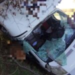 Potrącił sarnę busem. Kierowca Fiata Ducato trafił do szpitala