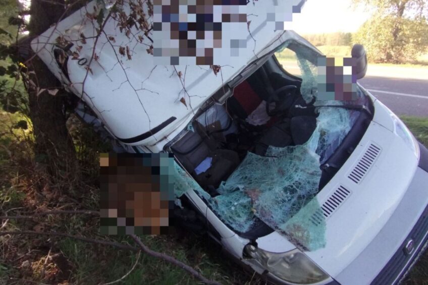 Potrącił sarnę busem. Kierowca Fiata Ducato trafił do szpitala