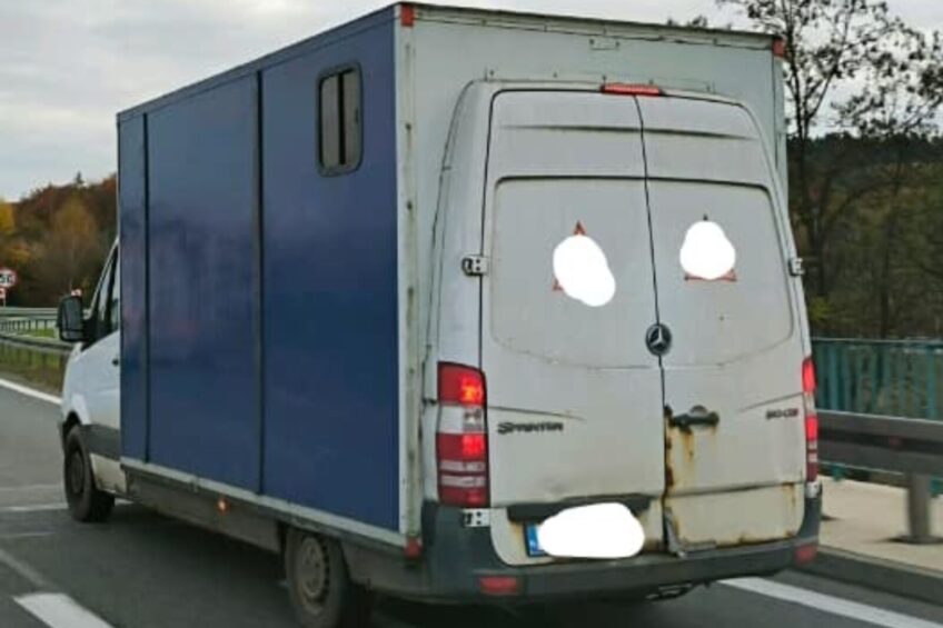 No kurde blaszka. Sprinter z kontenerem na „blaszce”