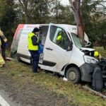 Bus uderzył prosto w drzewo. Młody kierowca Masterki w szpitalu
