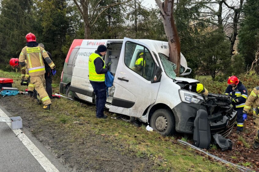 Bus uderzył prosto w drzewo. Młody kierowca Masterki w szpitalu