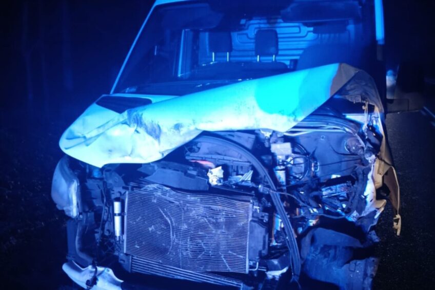 DK 60 łoś wbiegł wprost przed dostawczego Mercedesa Sprintera