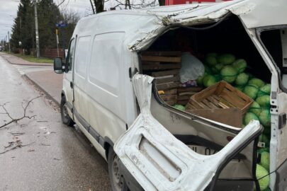 Pod Warszawą drzewo rozpruło przejeżdżający drogą furgon